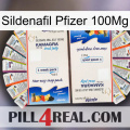 Sildenafil Pfizer 100Mg kamagra1